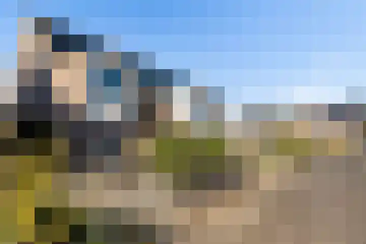 Van Zuylenware 48 Zwolle thumbnail 33