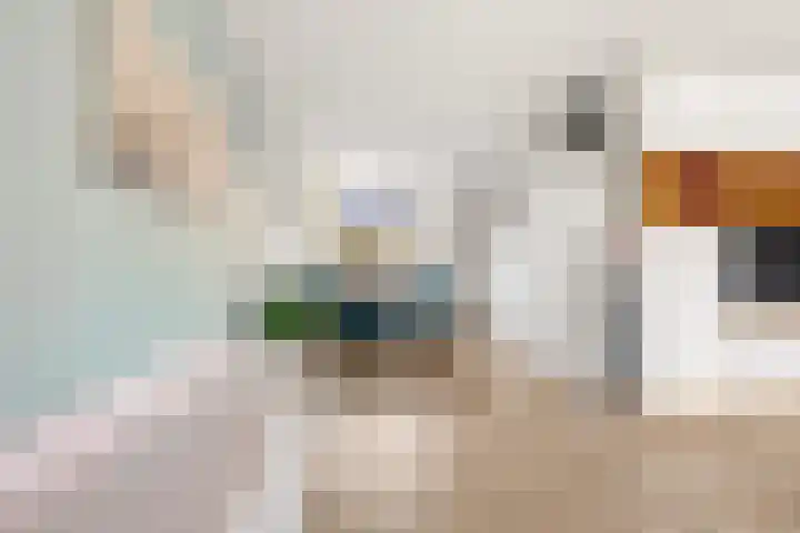 Van Zuylenware 48 Zwolle thumbnail 9