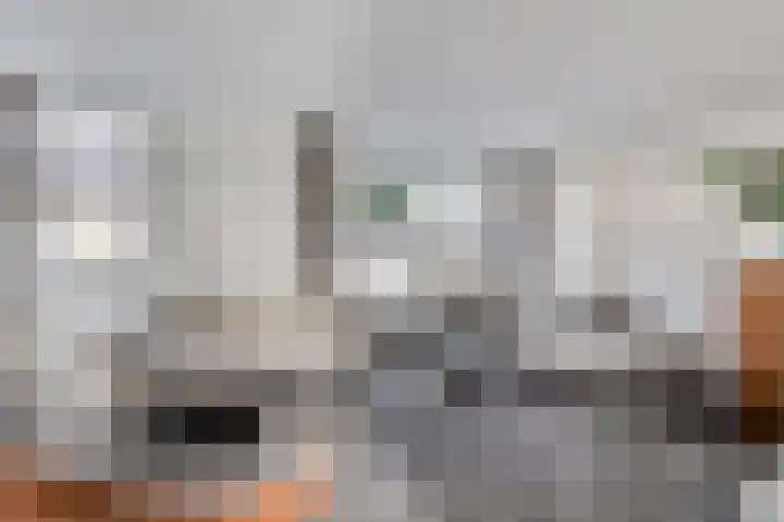 Van Zuylenware 61 Zwolle thumbnail 15
