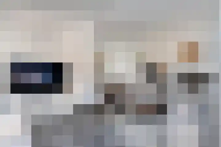 Van Zuylenware 61 Zwolle thumbnail 17
