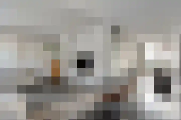 Van Zuylenware 61 Zwolle thumbnail 19