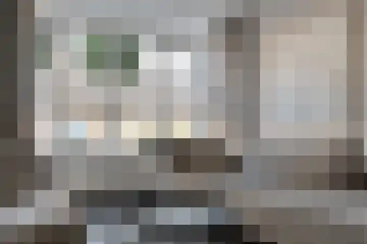 Van Zuylenware 61 Zwolle thumbnail 20
