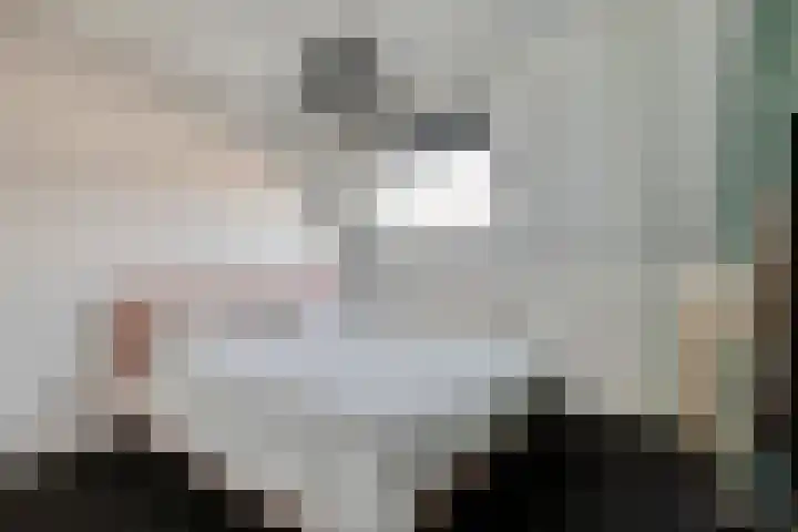 Van Zuylenware 61 Zwolle thumbnail 31