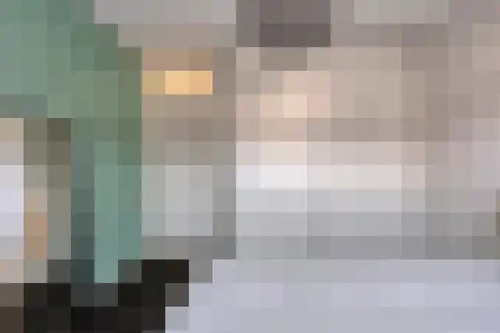 Van Zuylenware 61 Zwolle thumbnail 32