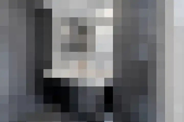 Van Zuylenware 61 Zwolle thumbnail 37