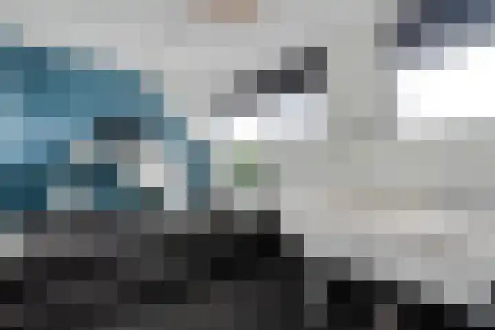 Van Zuylenware 61 Zwolle thumbnail 38