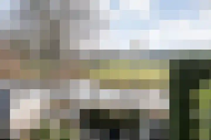 Van Zuylenware 61 Zwolle thumbnail 44