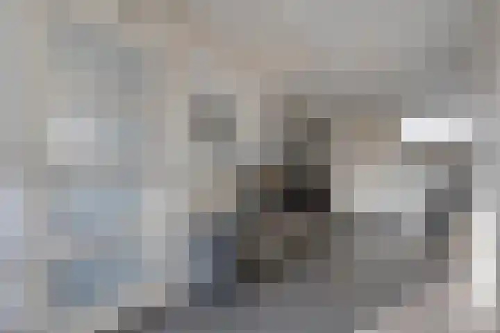 Van Zuylenware 61 Zwolle thumbnail 46