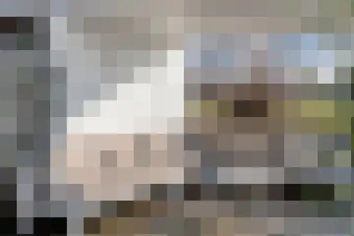 Van Zuylenware 61 Zwolle thumbnail 47