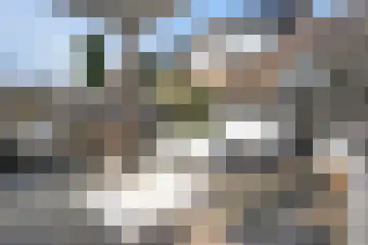 Van Zuylenware 61 Zwolle thumbnail 50