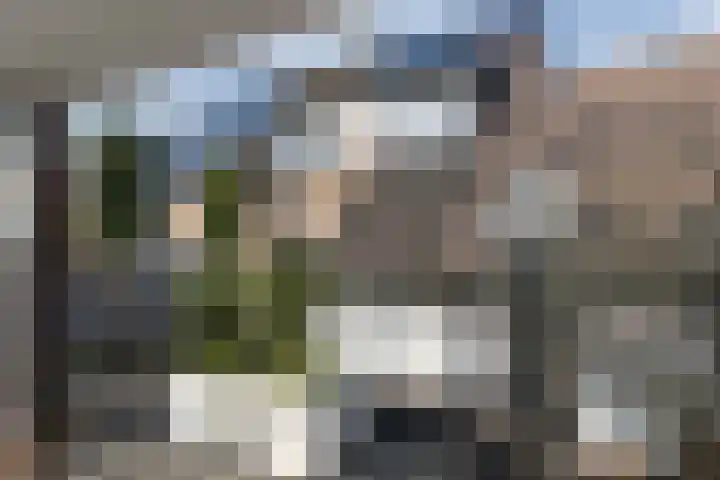 Van Zuylenware 61 Zwolle thumbnail 52