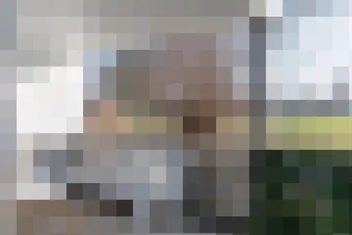 Van Zuylenware 61 Zwolle thumbnail 54