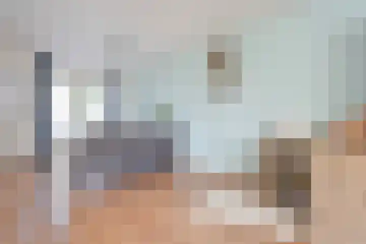 Van Zuylenware 66 Zwolle thumbnail 12