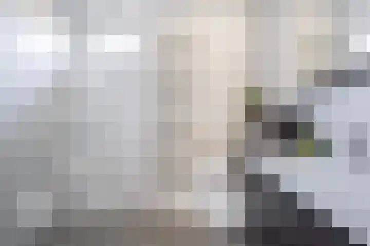 Van Zuylenware 66 Zwolle thumbnail 20