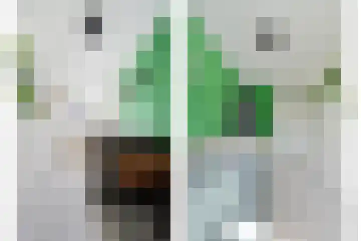Van Zuylenware 66 Zwolle thumbnail 27