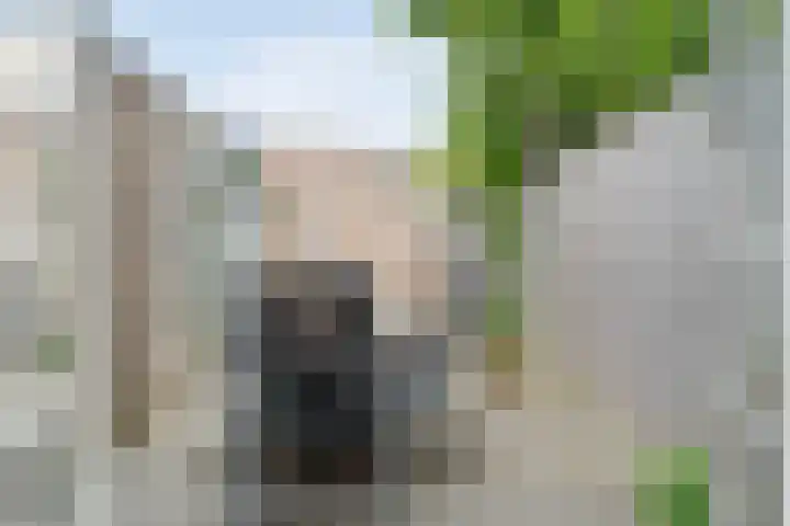 Van Zuylenware 66 Zwolle thumbnail 32