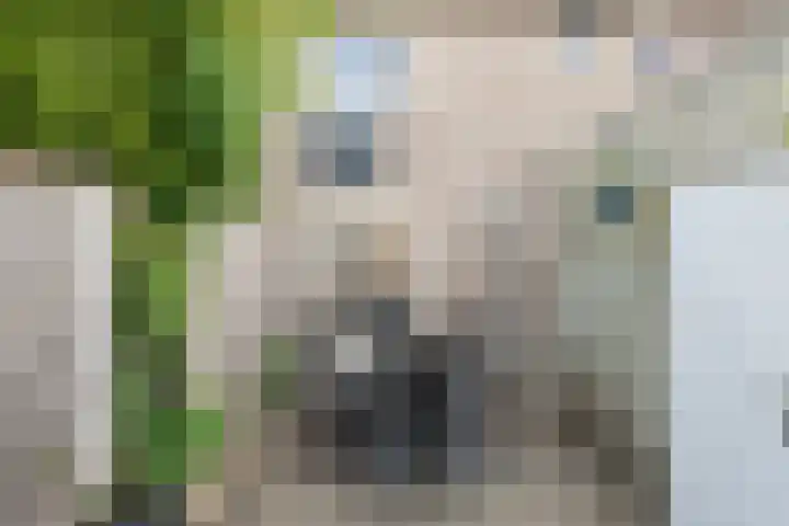 Van Zuylenware 66 Zwolle thumbnail 33