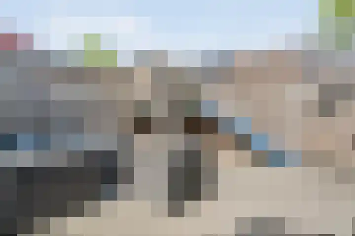 Van Zuylenware 66 Zwolle thumbnail 35