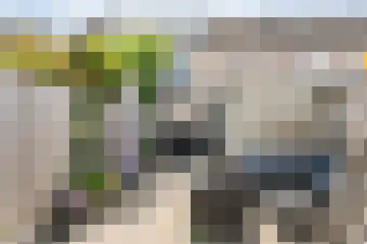 Van Zuylenware 66 Zwolle thumbnail 36