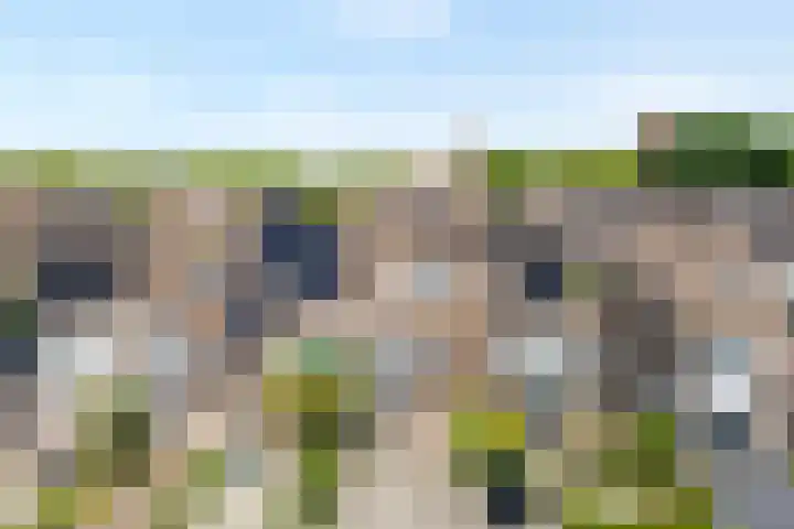 Van Zuylenware 66 Zwolle thumbnail 37