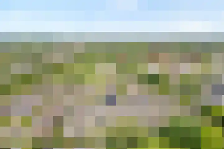 Van Zuylenware 66 Zwolle thumbnail 38