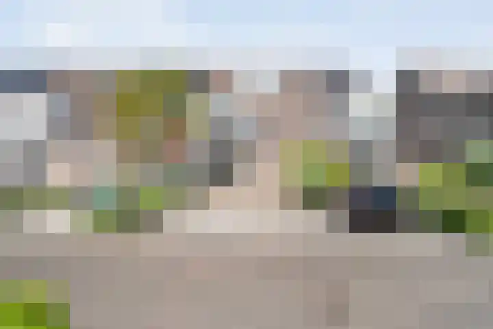 Van Zuylenware 66 Zwolle thumbnail 4