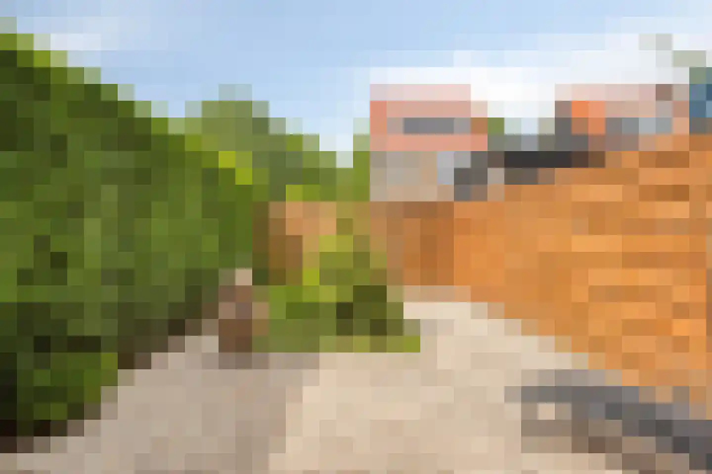 Van Zyll de Jongstraat 27 Pernis Rotterdam thumbnail 31