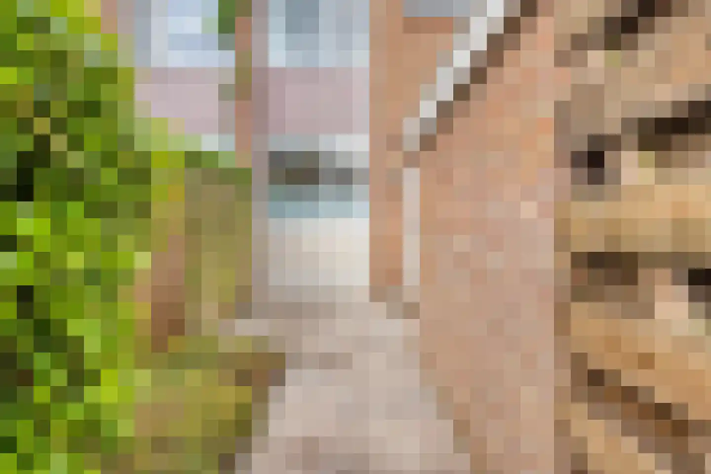 Van Zyll de Jongstraat 27 Pernis Rotterdam thumbnail 5