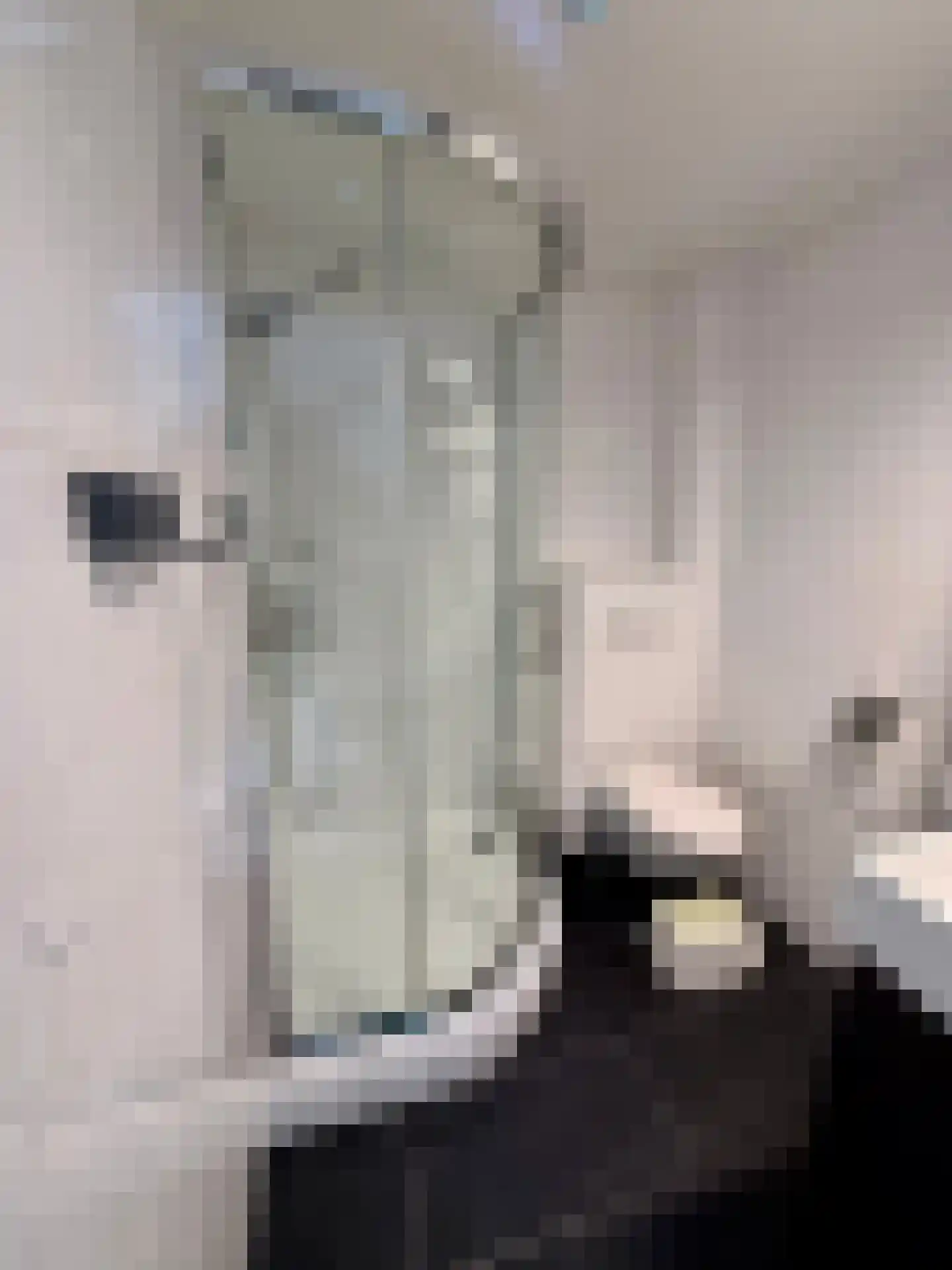 Van Zyll de Jongstraat 66 Pernis Rotterdam thumbnail 8