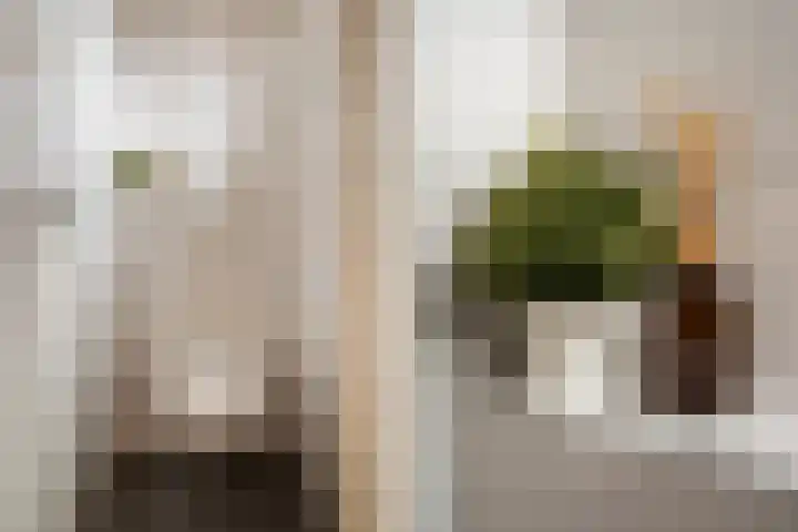 Van Zyll de Jongstraat 86 Pernis Rotterdam thumbnail 12
