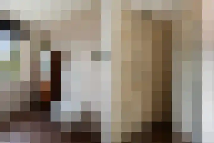 Van Zyll de Jongstraat 86 Pernis Rotterdam thumbnail 33