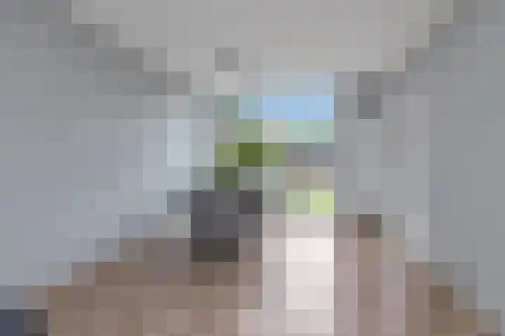 Van Zyll de Jongstraat 94 Pernis Rotterdam thumbnail 8