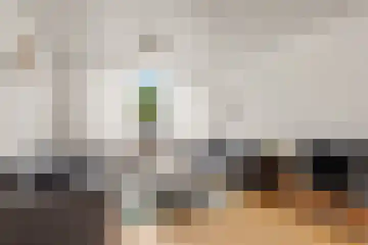 Van Zyll de Jongstraat 98 Pernis Rotterdam thumbnail 14