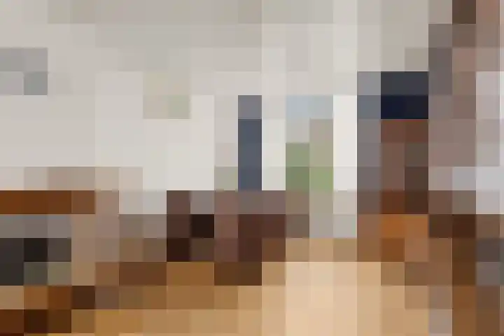 Van Zyll de Jongstraat 98 Pernis Rotterdam thumbnail 17