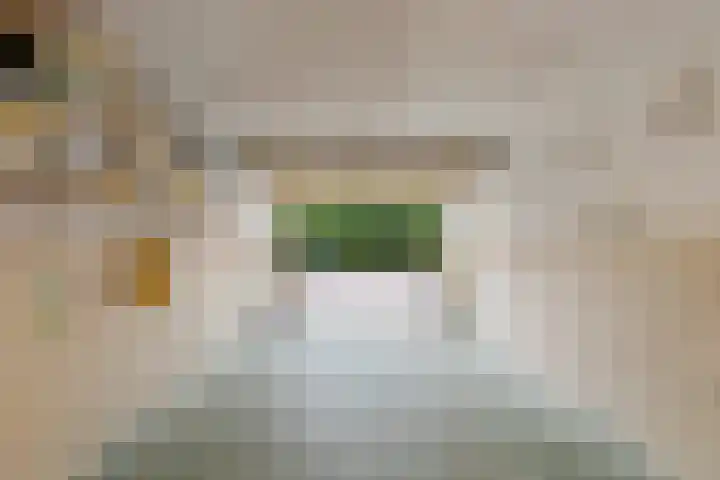 Van Zyll de Jongstraat 98 Pernis Rotterdam thumbnail 24