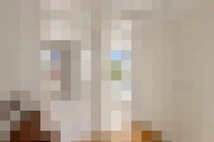Van Zyll de Jongstraat 98 Pernis Rotterdam thumbnail 32