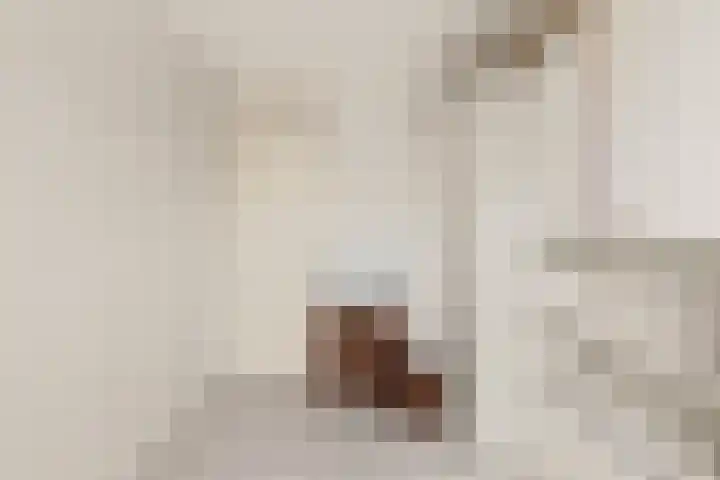 Van Zyll de Jongstraat 98 Pernis Rotterdam thumbnail 37