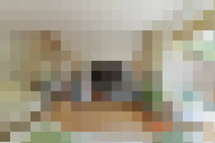 Vancouverdreef 15 Utrecht thumbnail 10