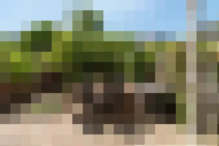 Vancouverdreef 15 Utrecht thumbnail 16