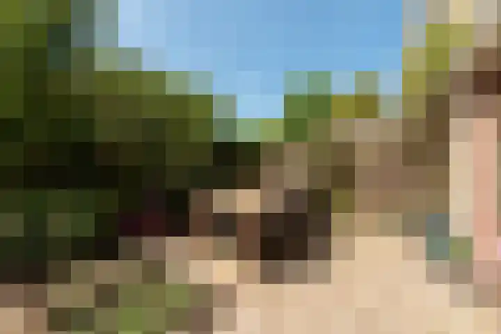 Vancouverdreef 15 Utrecht thumbnail 17