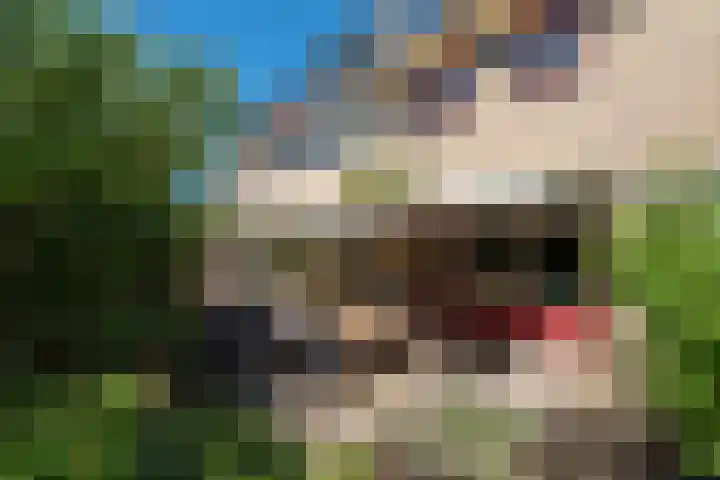 Vancouverdreef 15 Utrecht thumbnail 18
