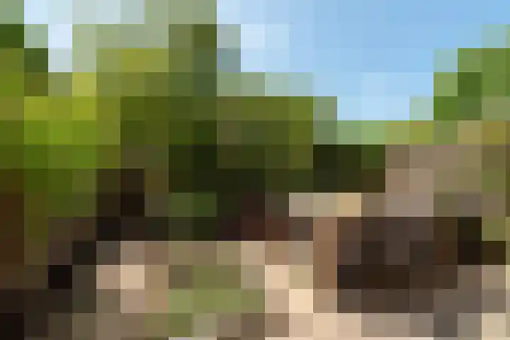 Vancouverdreef 15 Utrecht thumbnail 19