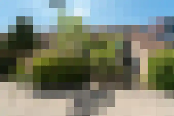 Vancouverdreef 15 Utrecht thumbnail 4
