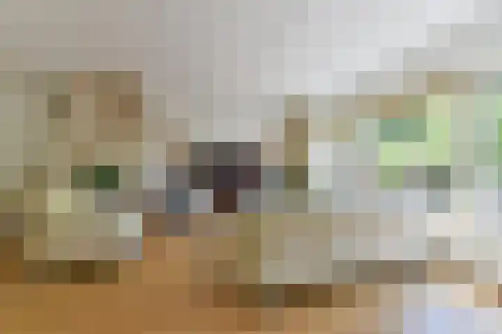 Vancouverdreef 15 Utrecht thumbnail 8