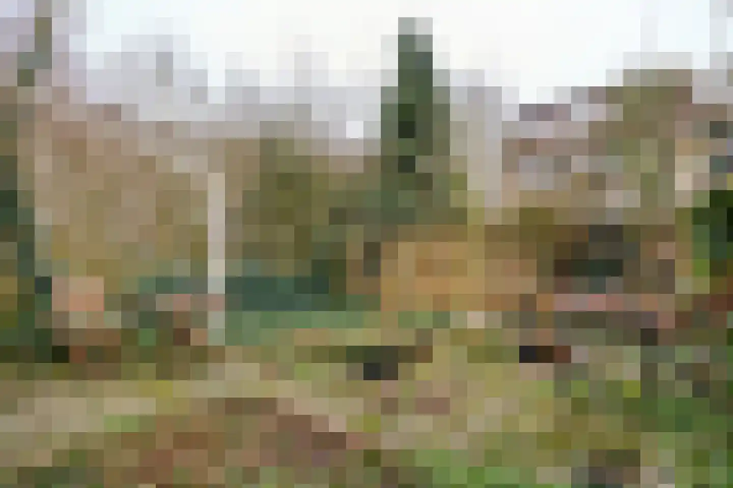 Vancouverdreef 21 Utrecht thumbnail 23