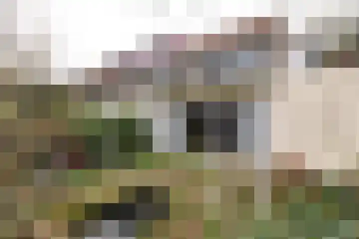 Vancouverdreef 21 Utrecht thumbnail 24