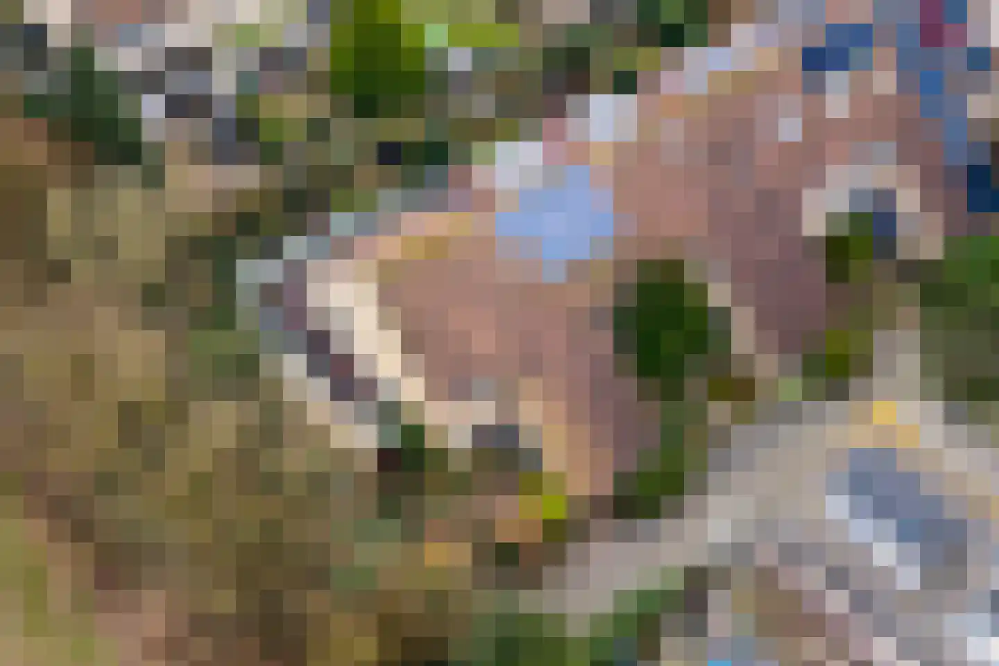 Vancouverdreef 21 Utrecht thumbnail 26