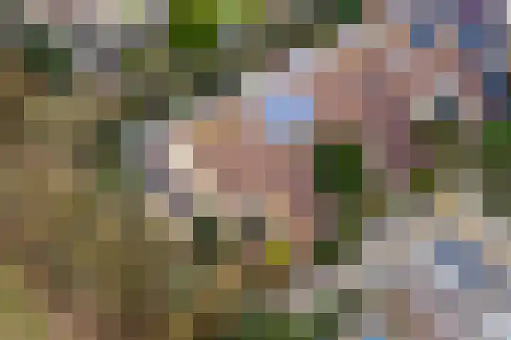 Vancouverdreef 21 Utrecht thumbnail 26