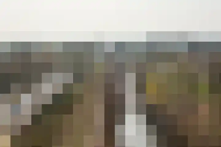 Vancouverdreef 21 Utrecht thumbnail 27