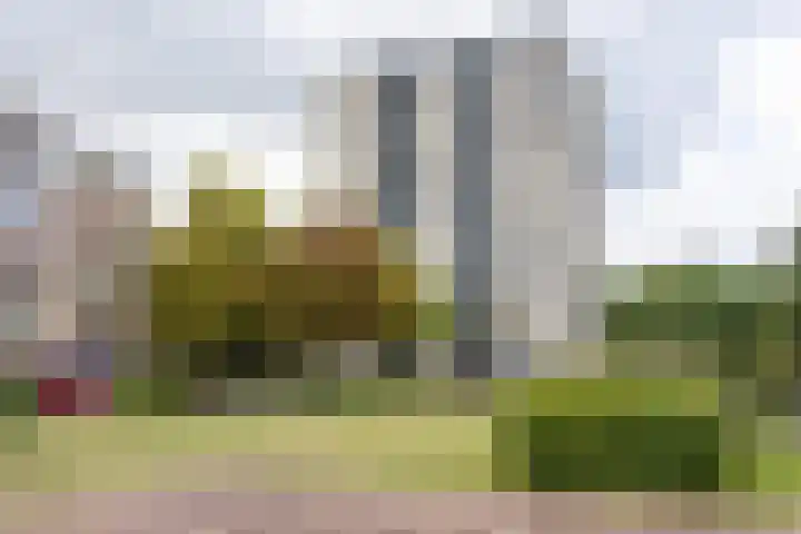 Vanekerstraat 213 Enschede thumbnail 4